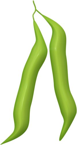 Beans clipart french bean.  best fruit images