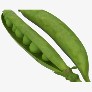 Beans clipart implication. Free green cliparts silhouettes