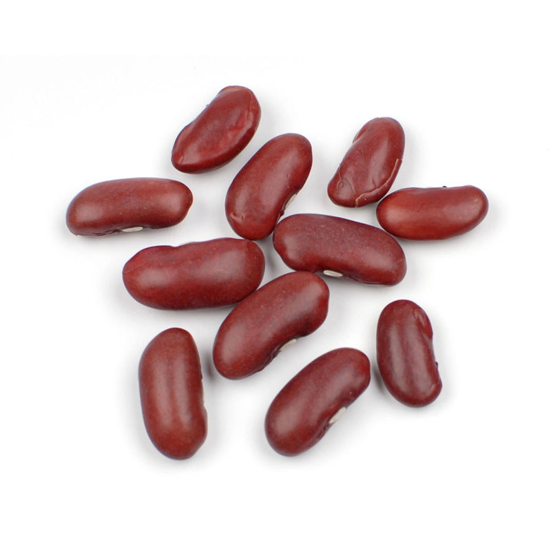 Beans clipart kidney bean. Dark red 