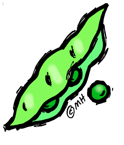 Beans clipart pea. Plant pencil and in