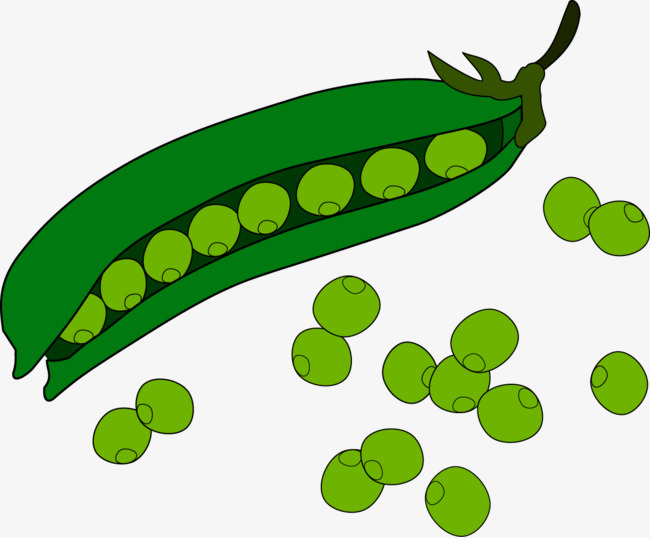 Vector peas free download. Beans clipart pea