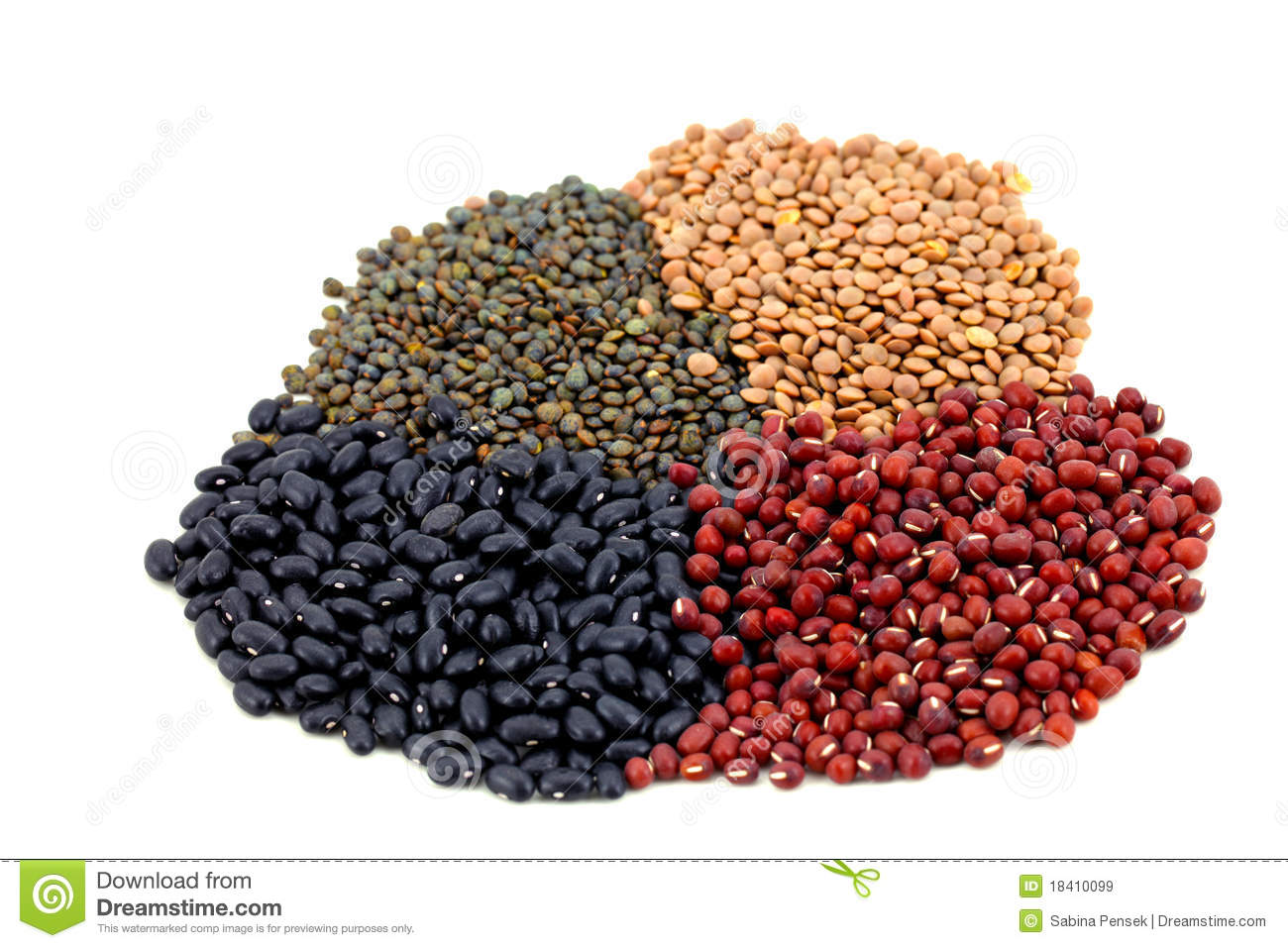 Pencil and in color. Beans clipart pulse