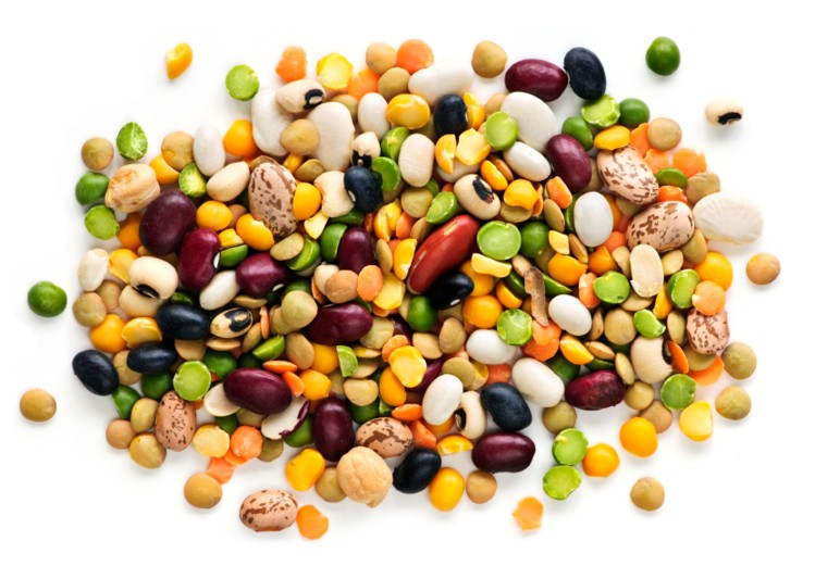 Pulses in bakery consumers. Beans clipart pulse