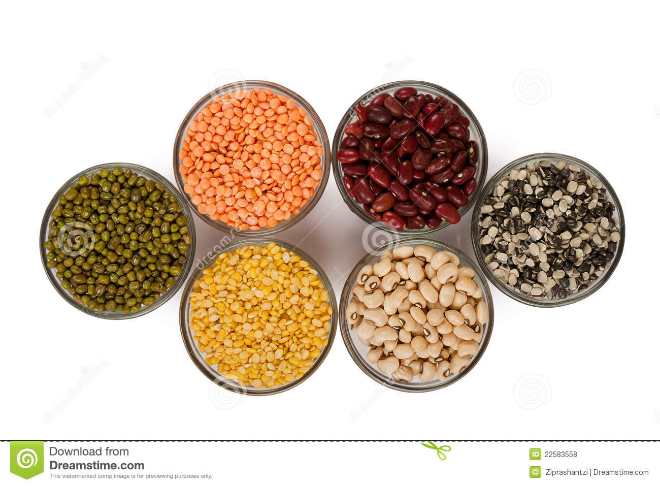 Pencil and in color. Beans clipart pulse