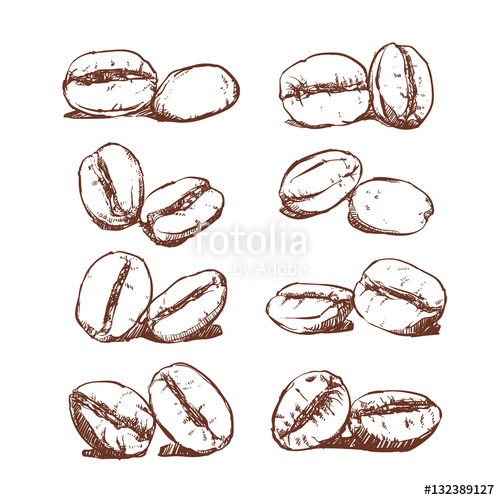 Beans clipart vector. Coffee bean hand drawn