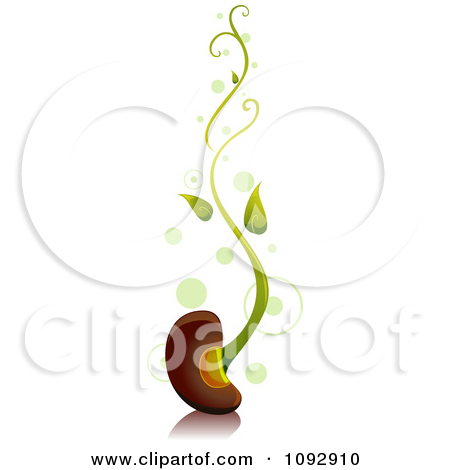 Beans clipart vector. Bean sprout pencil and