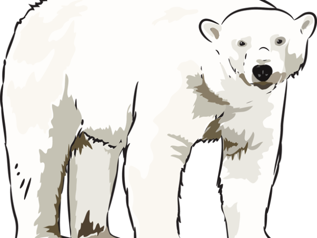 Bears clipart beruang. Polar bear ear free