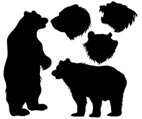 Bear clipart beruang. Search photos grizzly silhouette