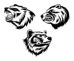 Search photos kutub grizzly. Bear clipart beruang