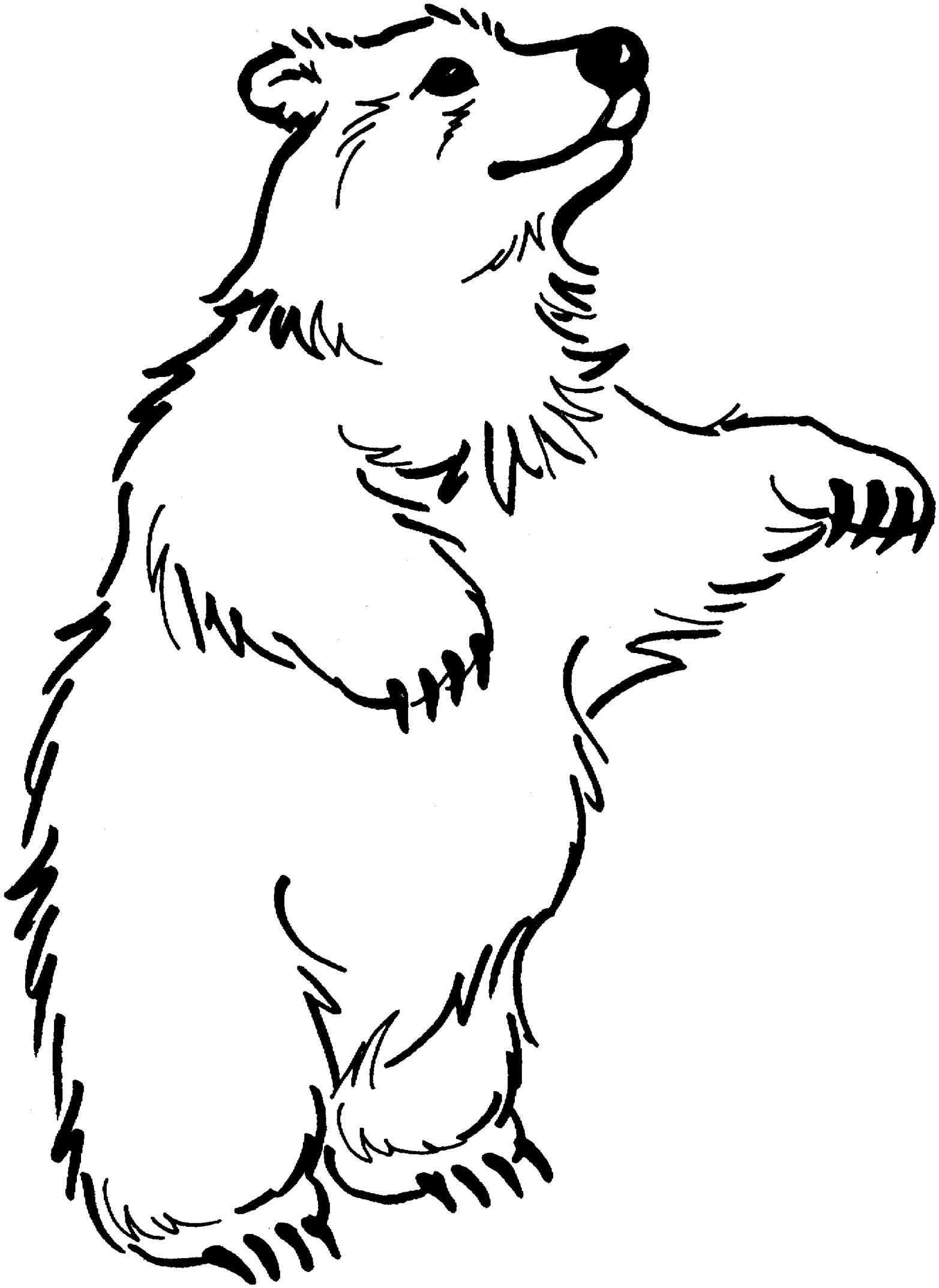 bear clipart black and white