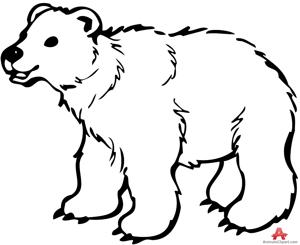 Bear clipart drawing. Pictures outline drawings art