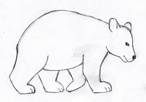 Drawing step by simple. Bear clipart easy