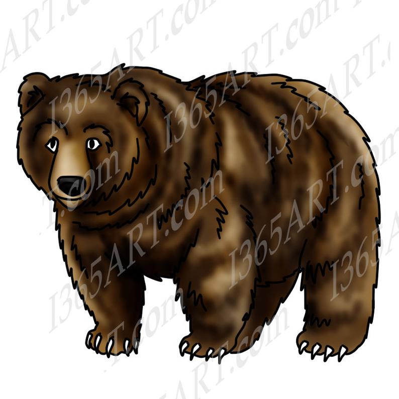  off clip art. Bear clipart grizzly bear