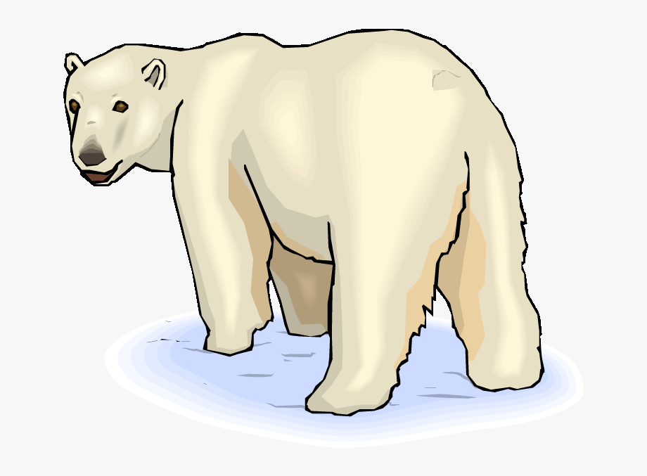 clipart bear polar bear