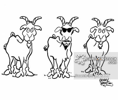 Beard clipart goat. Goatee cartoons and comics