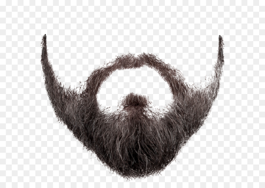 Beard clipart pirate beard. Clip art download vector