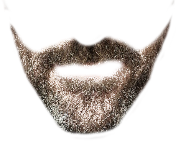 Png images transparent free. Beard clipart short beard