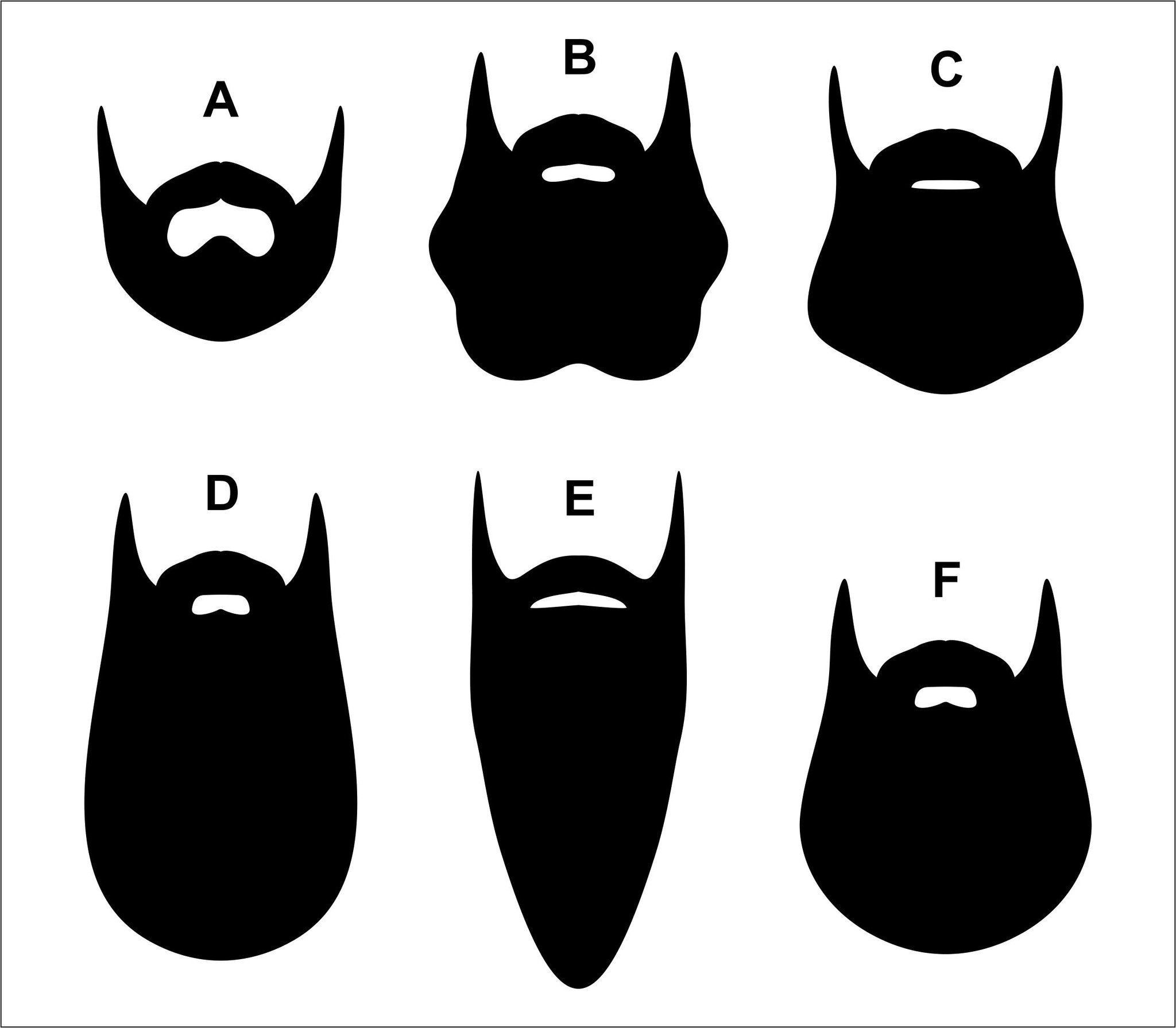 Real pencil and in. Beard clipart vector