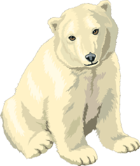 Polar bear animations another. Bears clipart animated