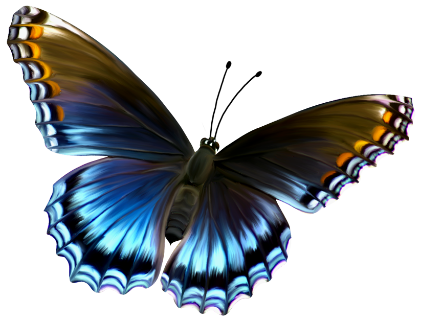 Beautiful clipart blue butterfly. And brown png gallery