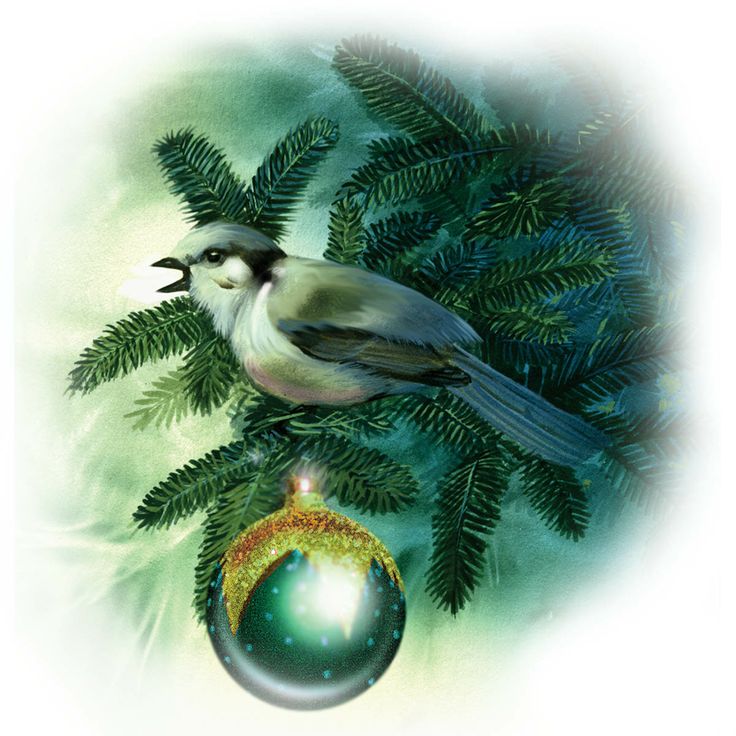 Beautiful clipart christmas.  best images on