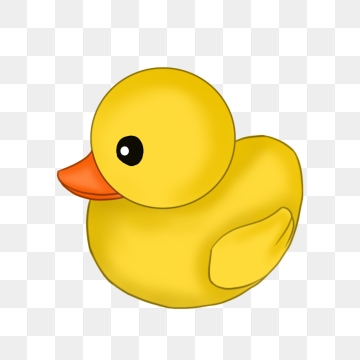 Ducks clipart beautiful. Duck images png format