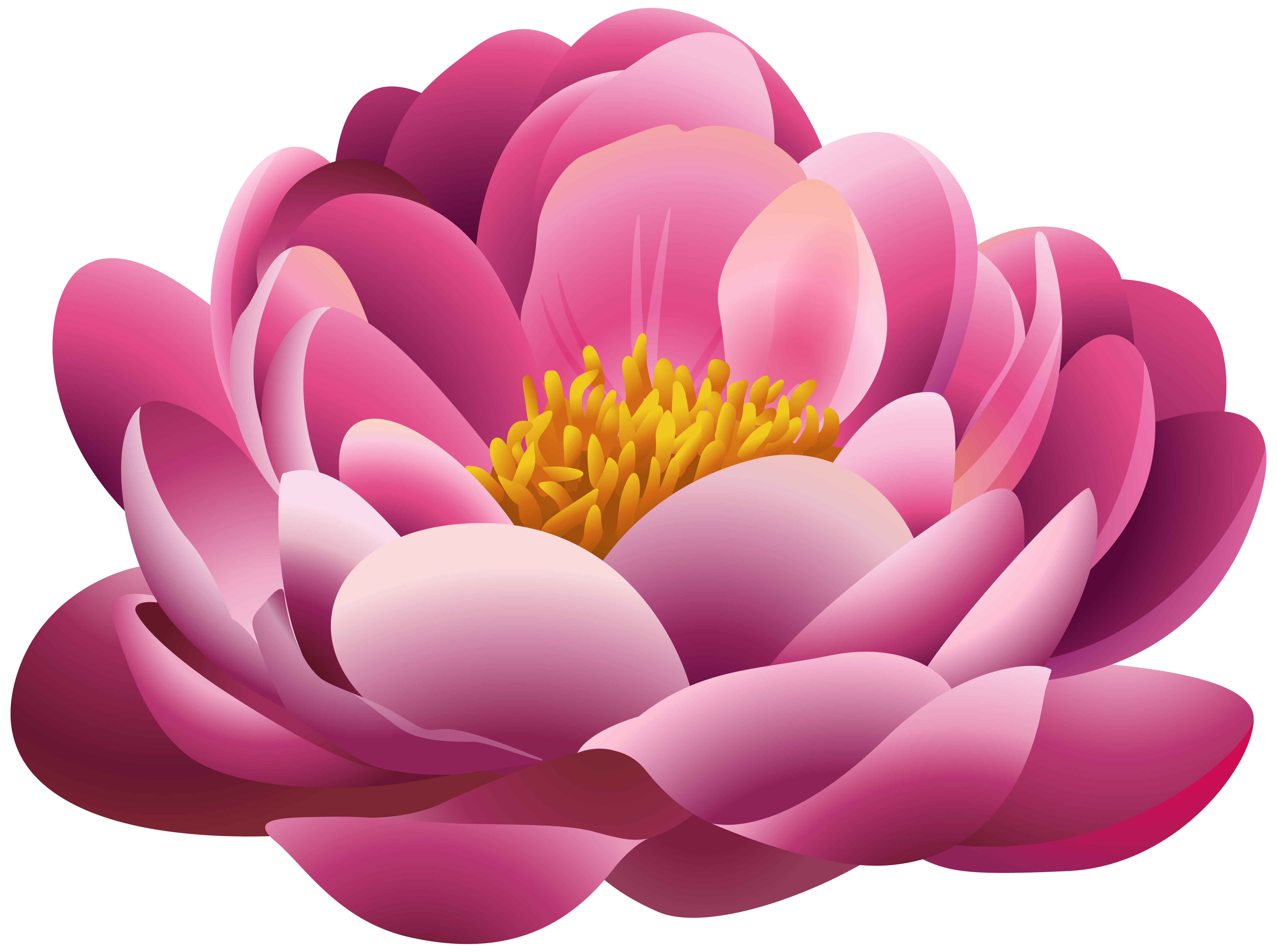 Flower clipart pretty flower. Beautiful pink png image