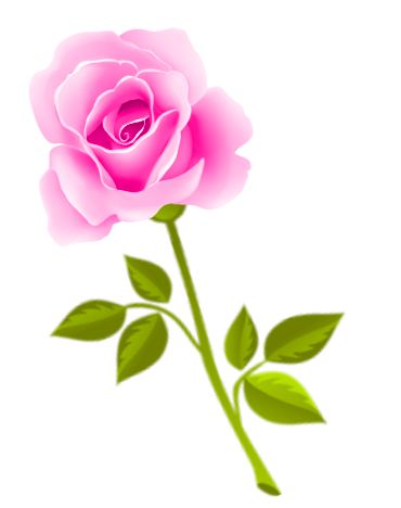 Free pretty cliparts download. Beautiful clipart flower