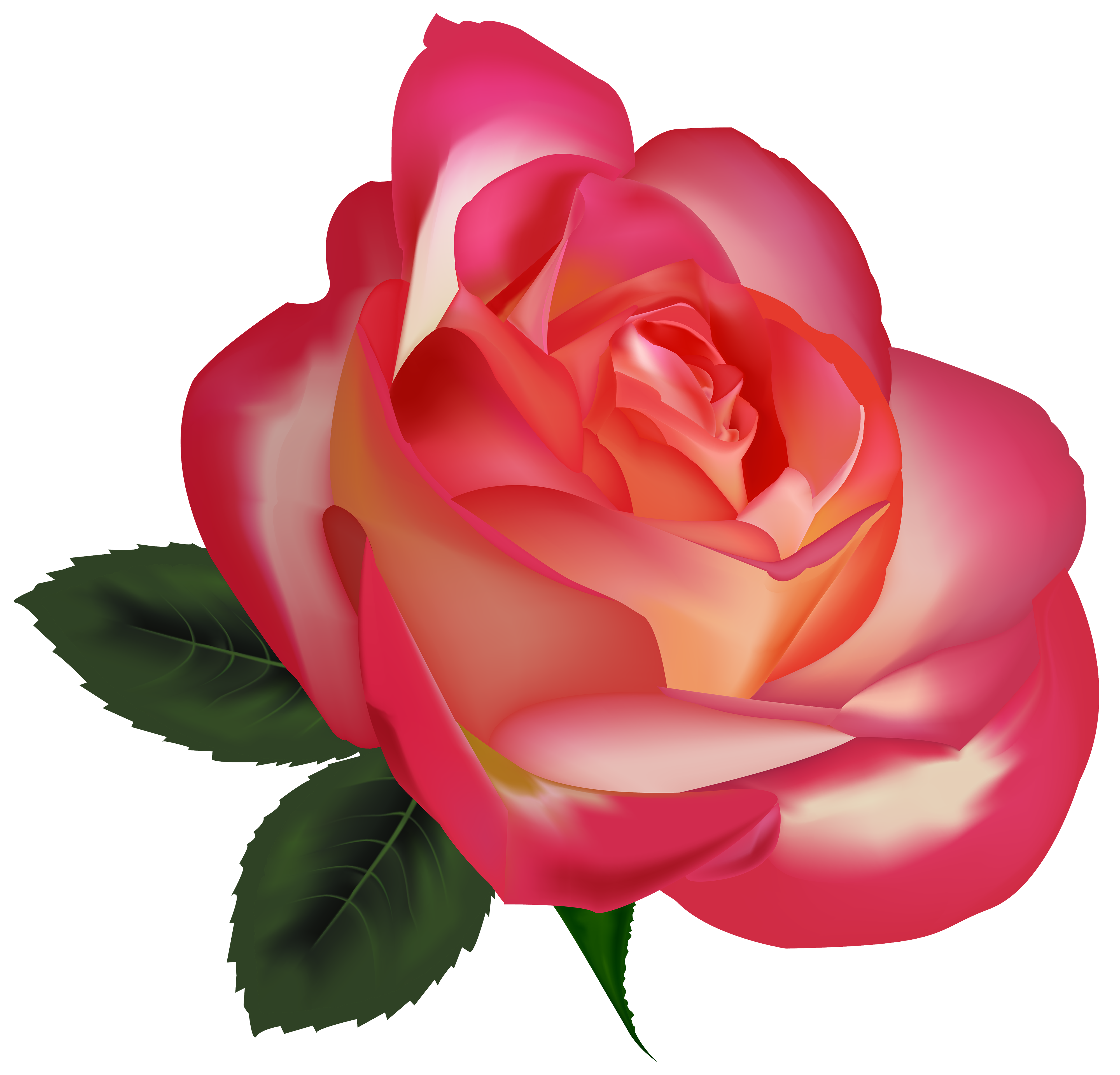 Clipart roses natural. Beautiful rose png image