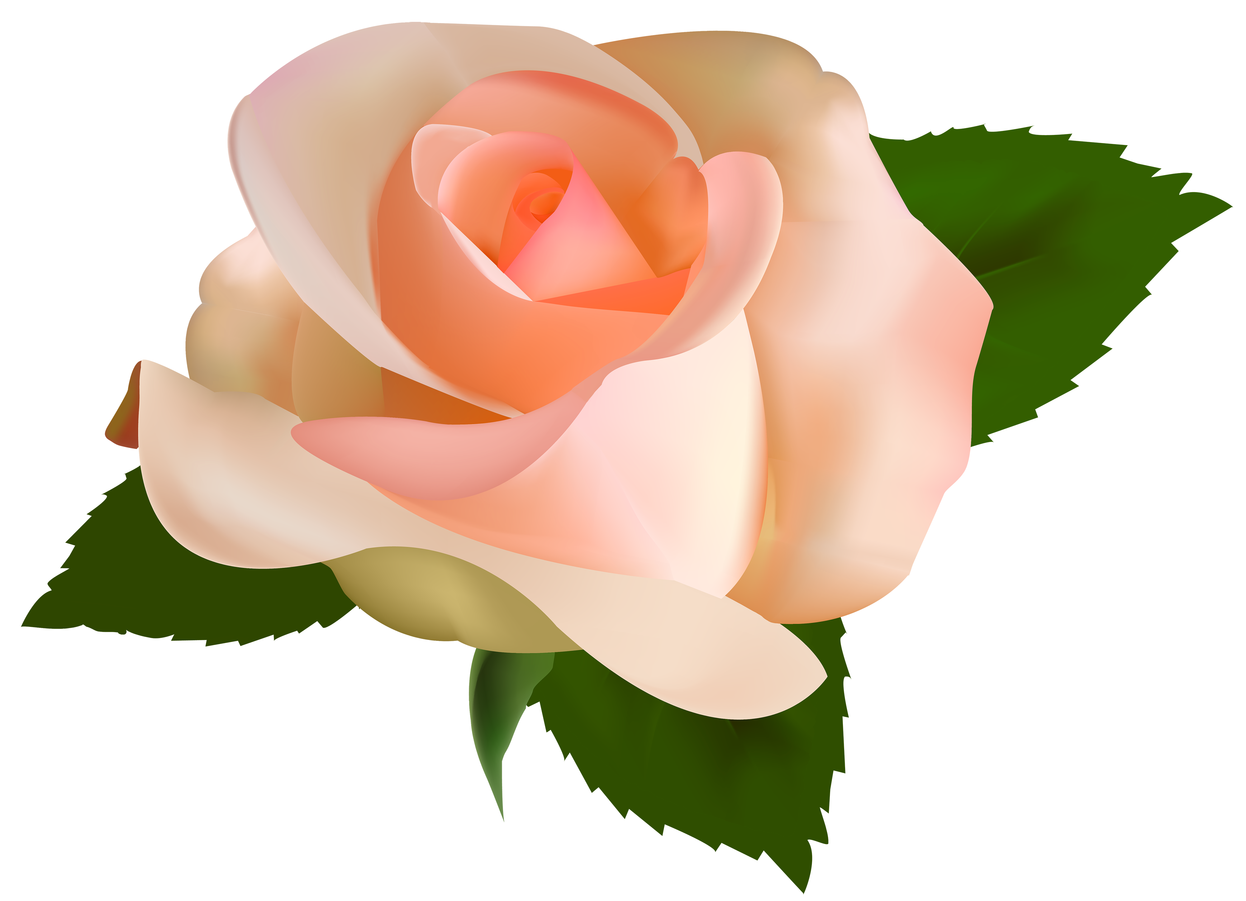 peach clipart flower