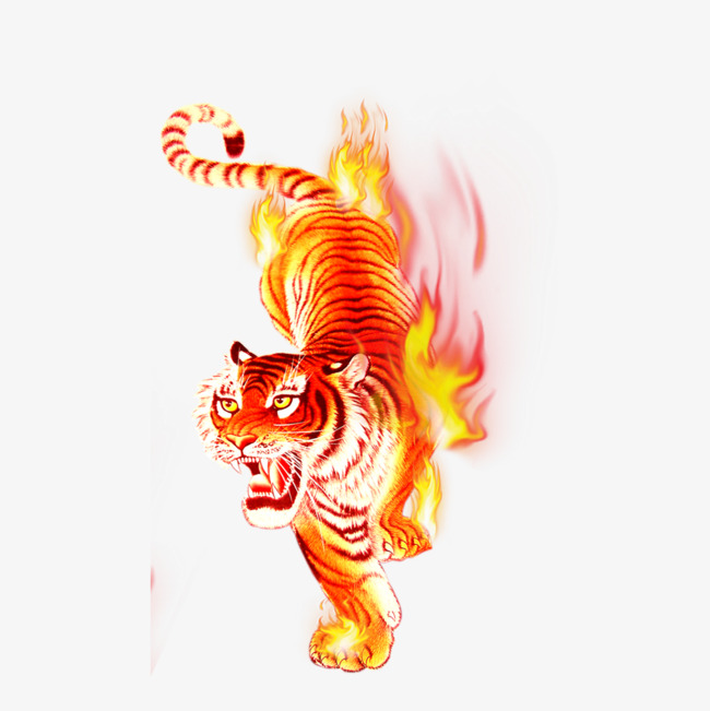 Super tiger png free. Beautiful clipart stunning