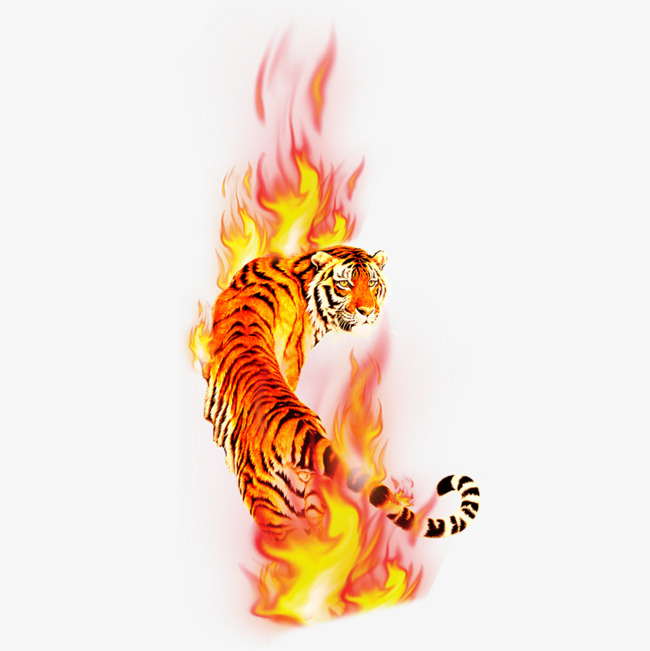 Beautiful clipart stunning. Super tiger back png