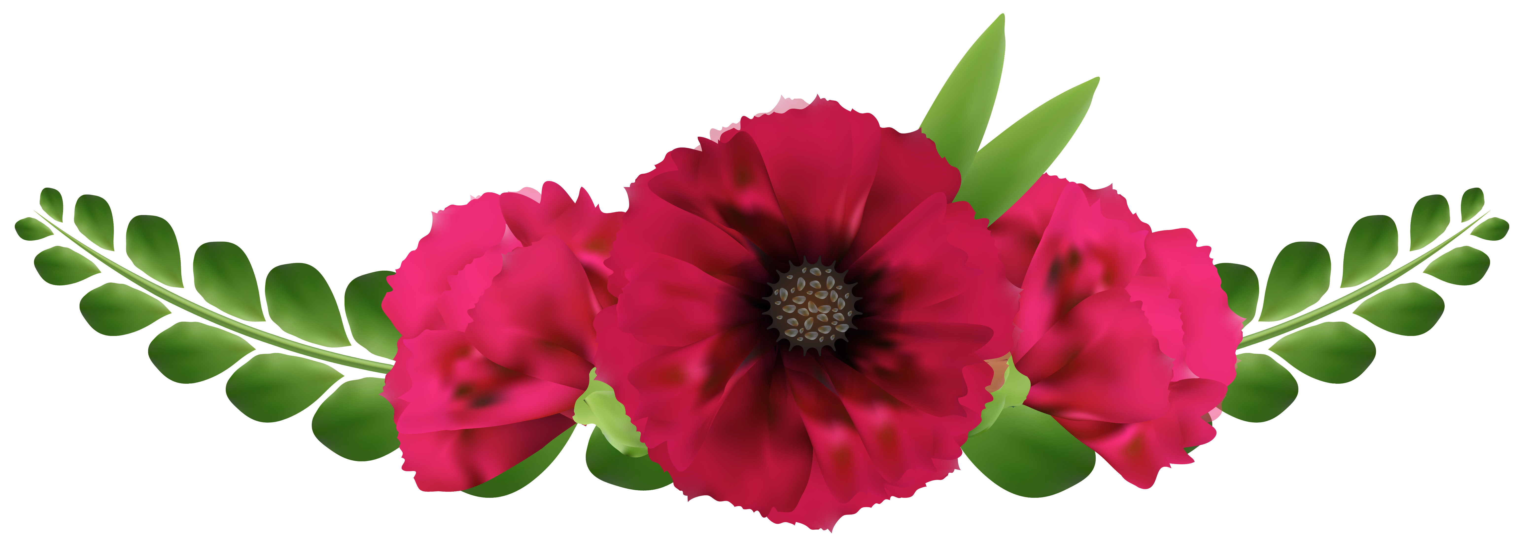 Stunning ideas beautiful clip. Flowers png images