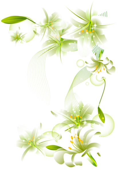 Beautiful clipart transparent background. White flower png flowers