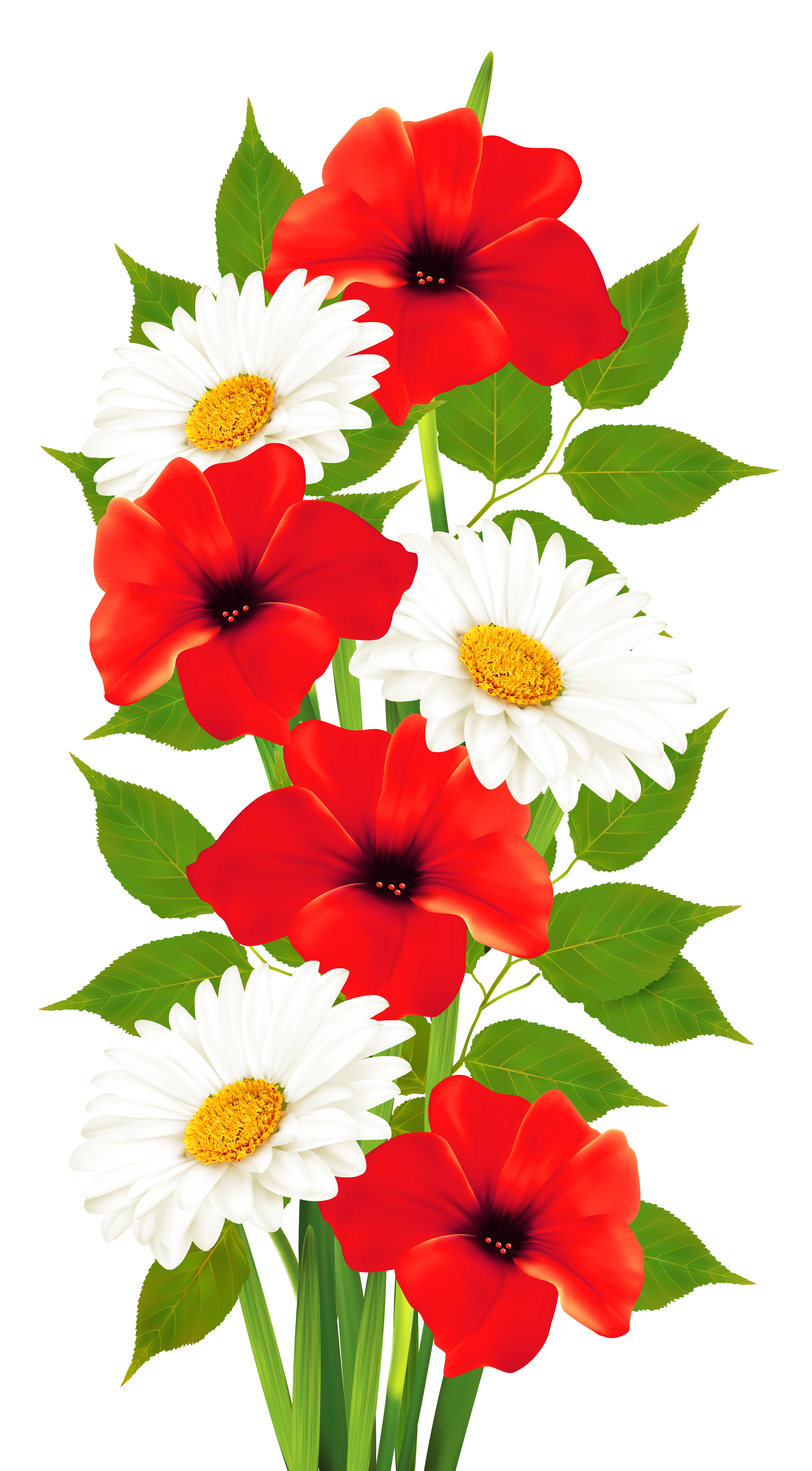 Beautiful clipart transparent background. Poppies and daisies png