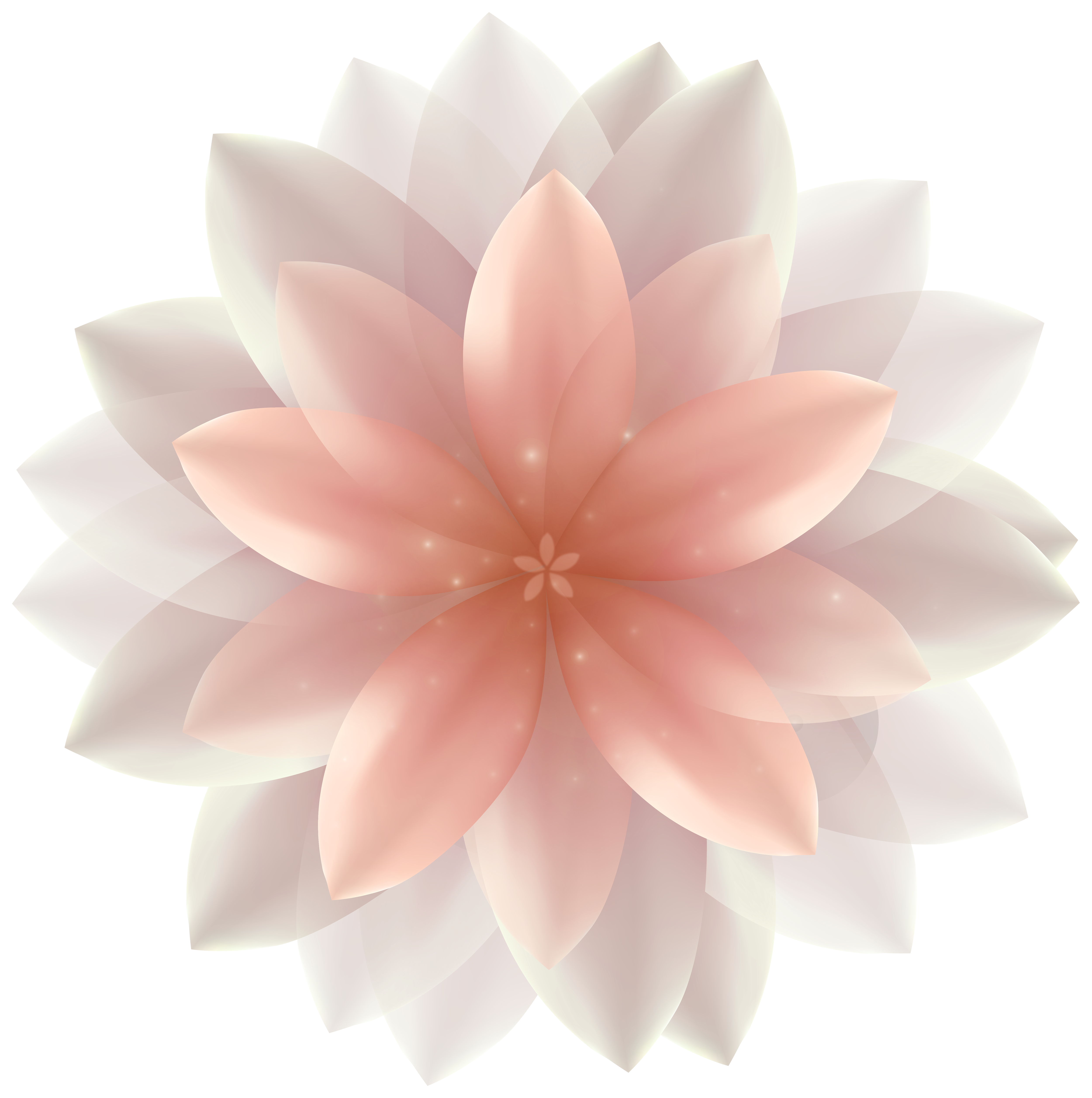 transparent flower png