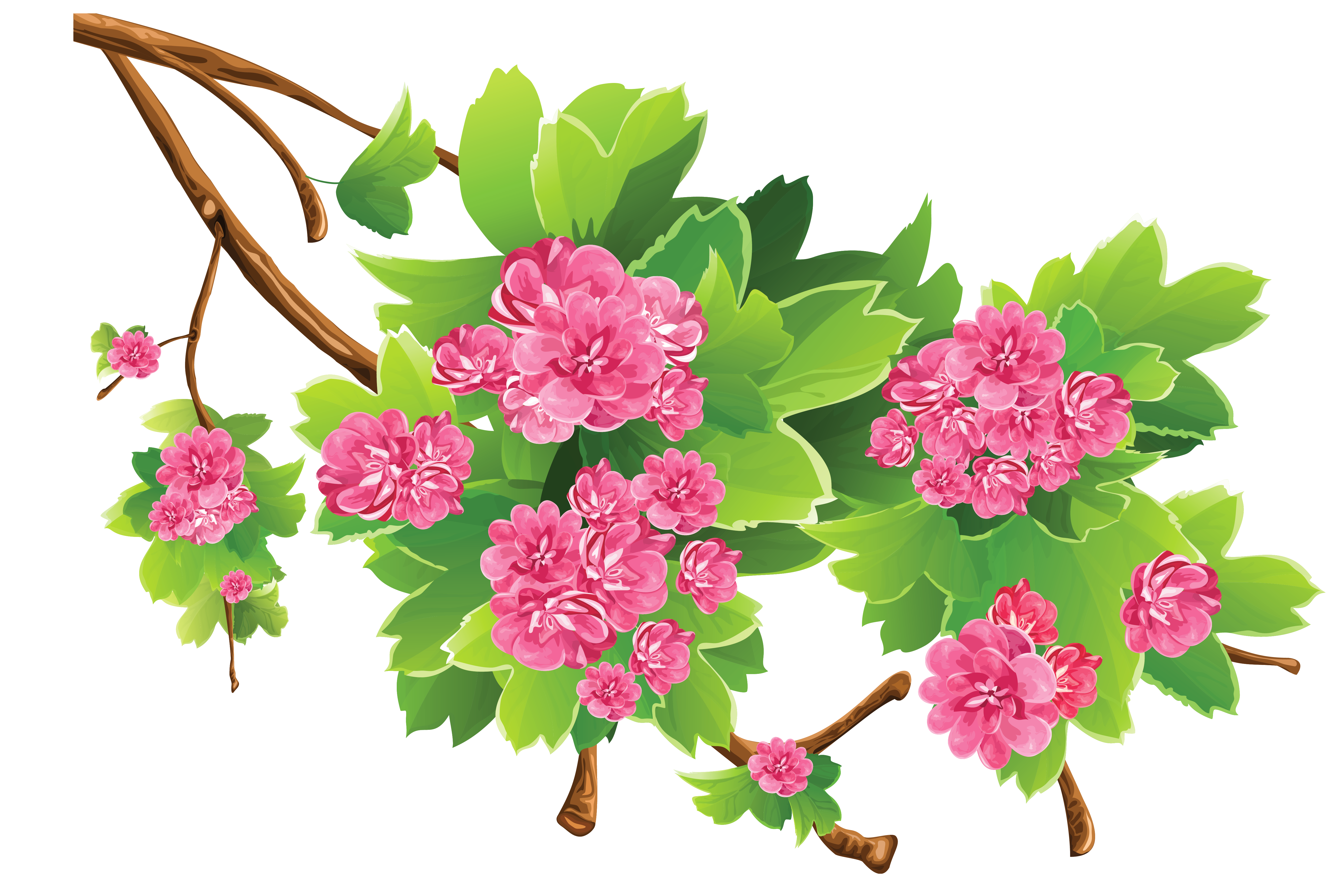 Fairies clipart spring. Branch transparent png picture