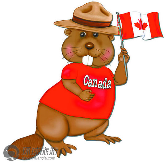 beaver clipart beaver canadian