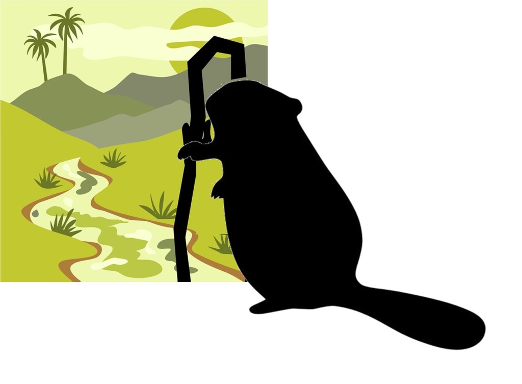 beaver clipart beaver lodge