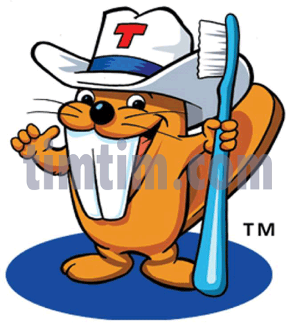 Free drawing of toothbrush. Beaver clipart beaver tooth