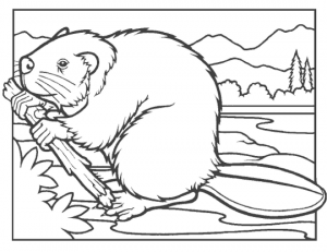 beaver clipart black and white