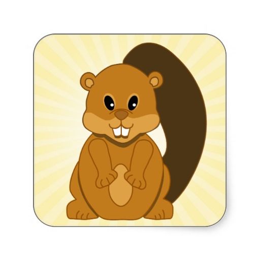 Pegatina cuadrada peque o. Beaver clipart castor