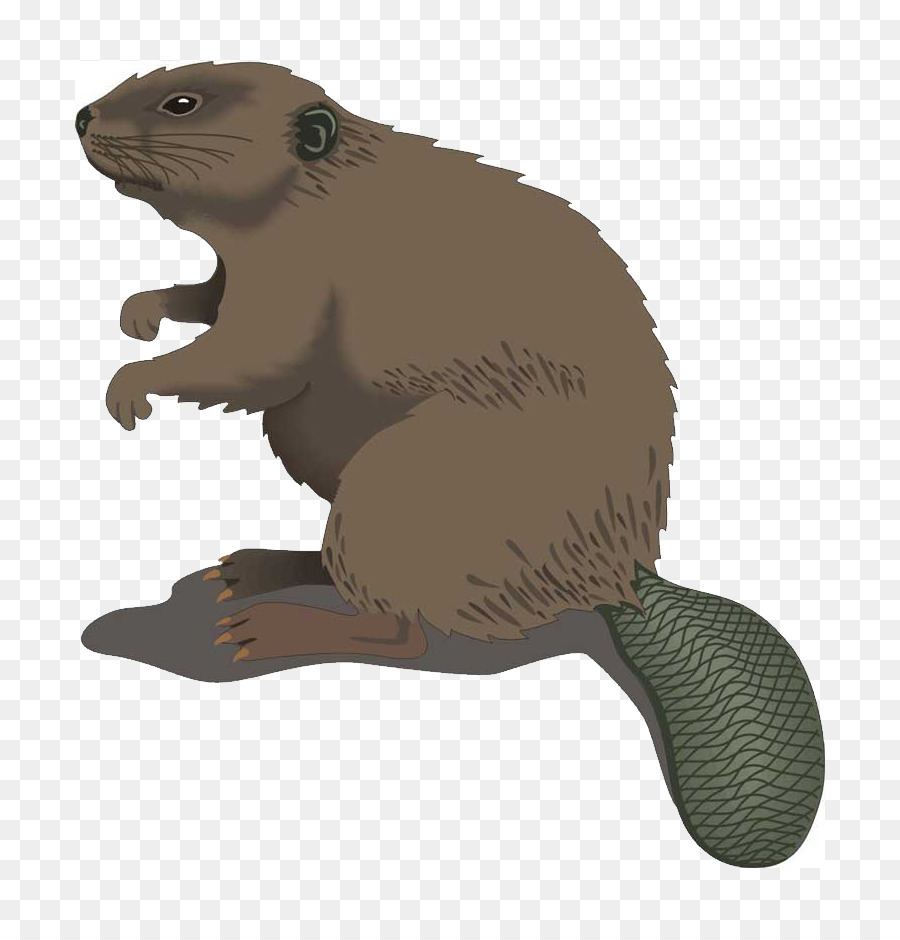 Beaver clipart clip art. Cartoon png download free
