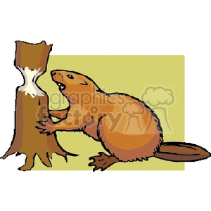 Beaver clipart clip art. Royalty free 