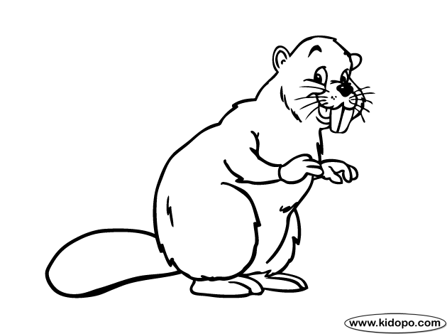 Coloring pages . Beaver clipart colouring page