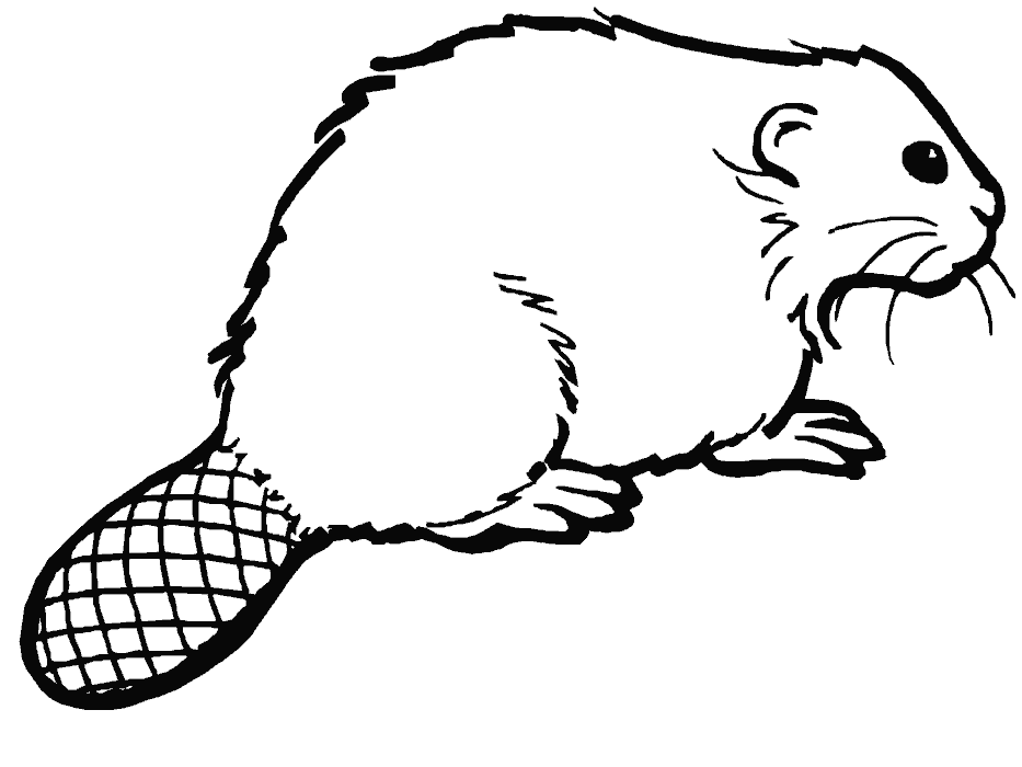 Coloring panda free images. Beaver clipart colouring page