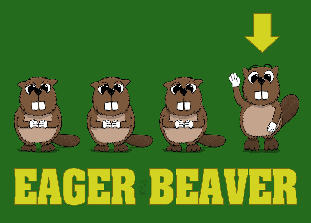beaver clipart eager beaver