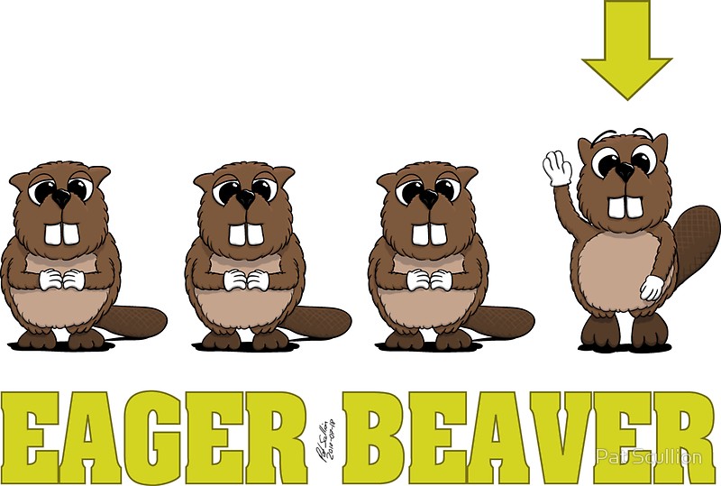 beaver clipart eagerness