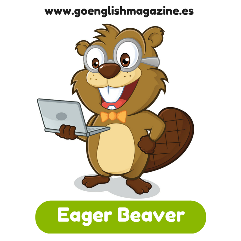 Beaver clipart eagerness, Picture #2295404 beaver clipart eagerness