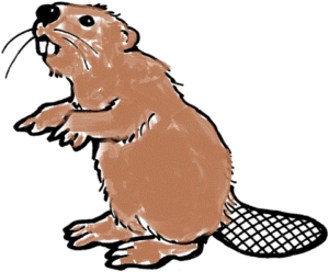 Valley camp inc wilderness. Beaver clipart gopher